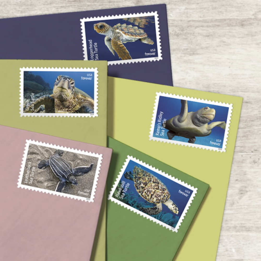 (2024) Protect Sea Turtles Stamps