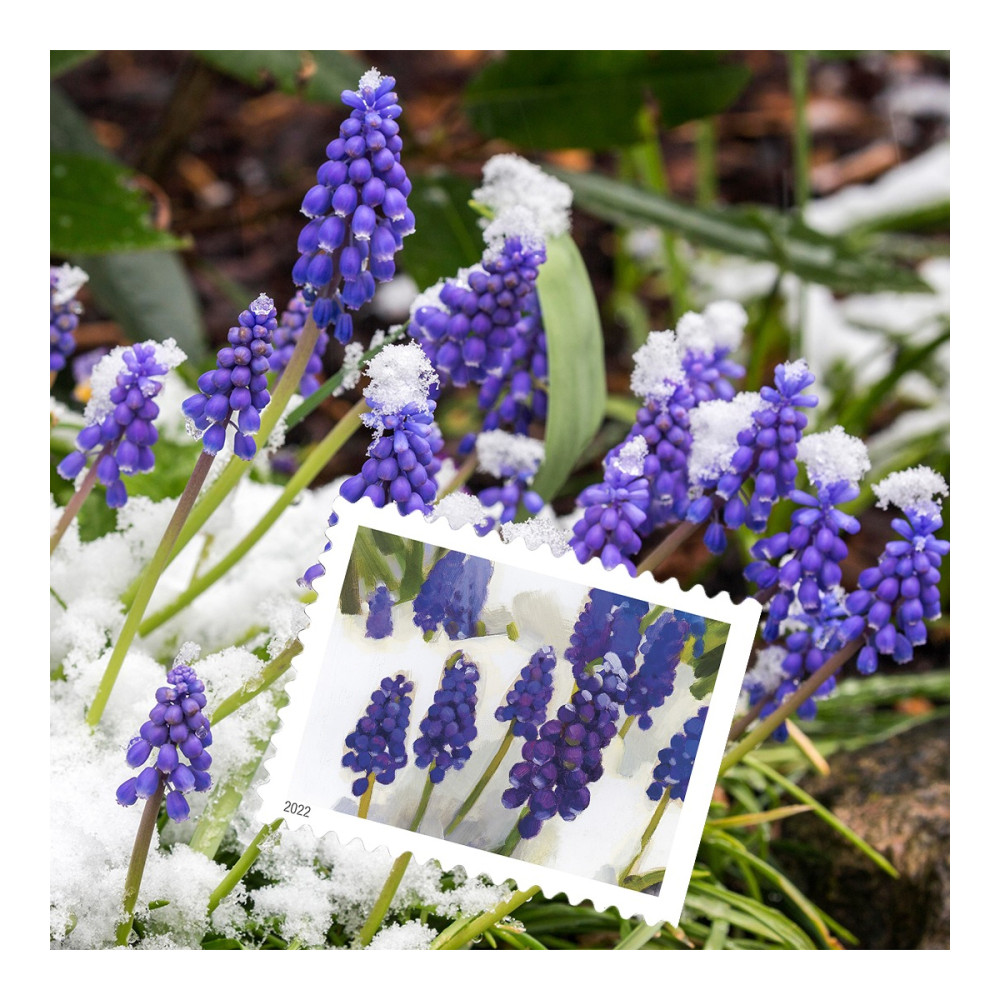 (2022) USPS Snowy Garden Beauty Forever Postage Stamps